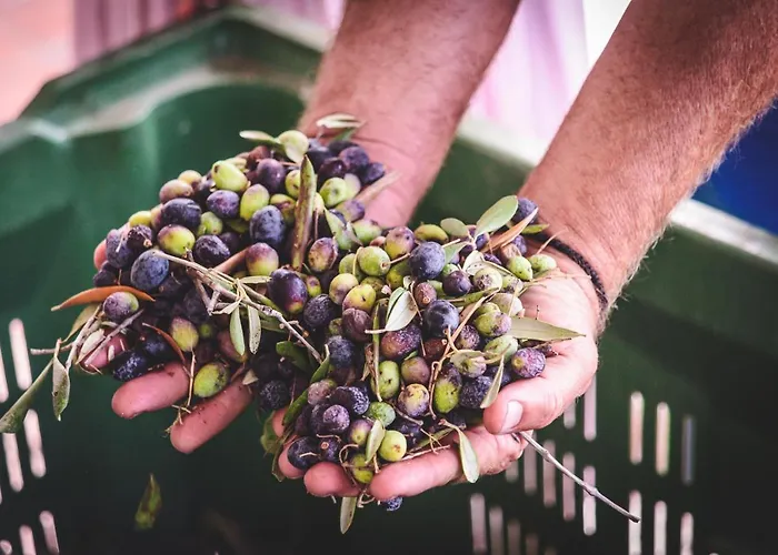 Cyprus Villages - & Restaurant - Location - With Access To Pool And Stunning Views