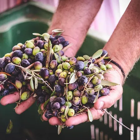 Cyprus Villages - & Restaurant - Location - With Access To Pool And Stunning Views