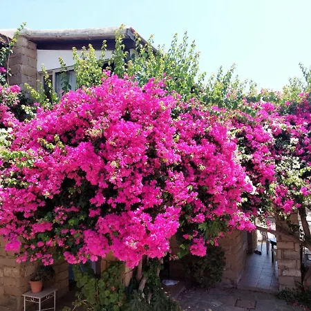 Country house Cyprus Villages & Restaurant - Location - - With Access To Pool And Stunning Views Tochni