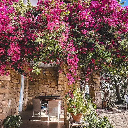 Cyprus Villages & Restaurant - Location - - With Access To Pool And Stunning Views Tochni